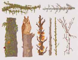 無料ベクター 手描きの森の木セット