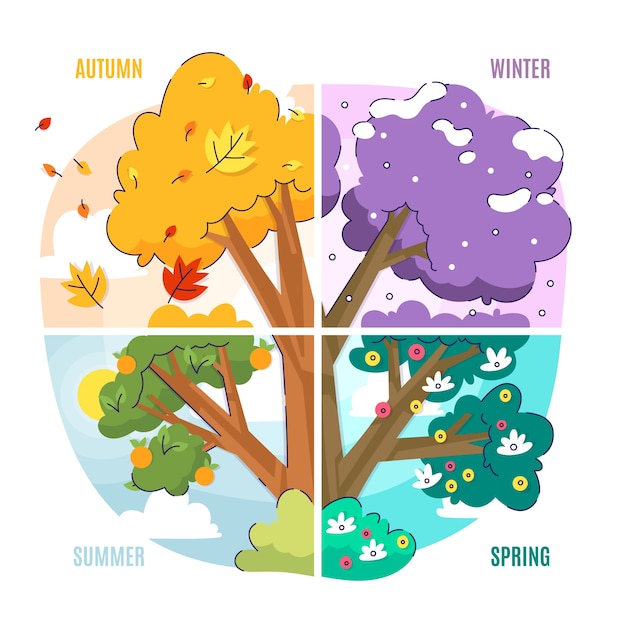 hand drawn four seasons illustration