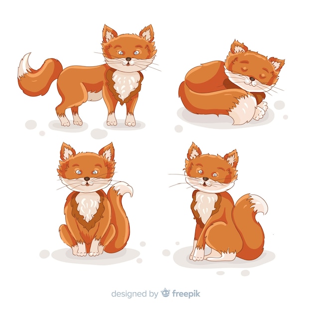 Hand drawn fox collection