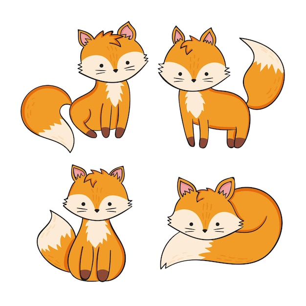 Hand drawn fox collection