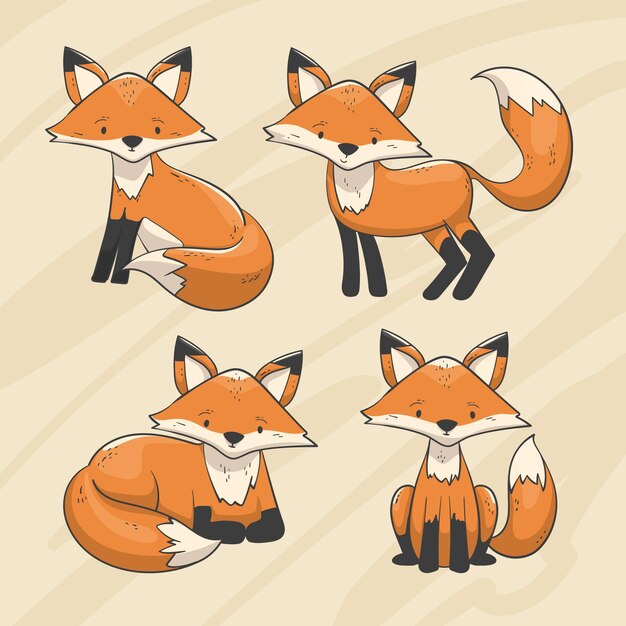 Hand drawn fox collection