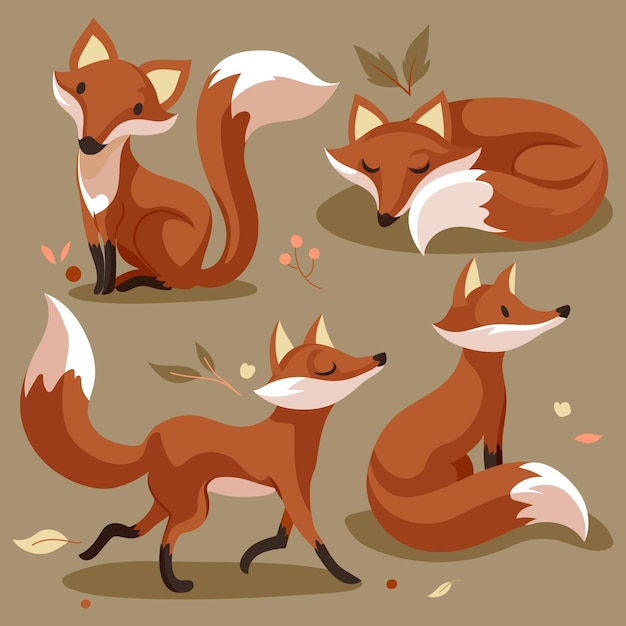 Free Vector hand drawn fox collection