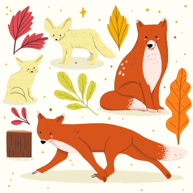 Hand drawn fox illustration collection