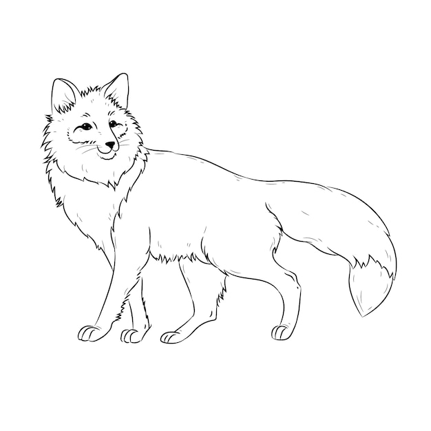 手描きキツネの概要図