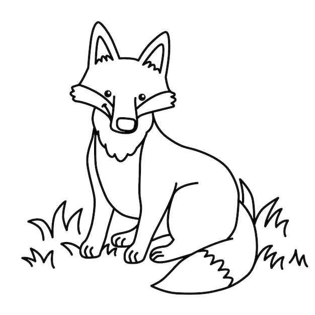 Hand drawn fox outline illustration