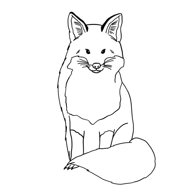 Hand drawn fox outline illustration