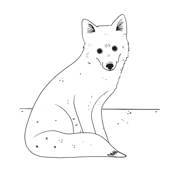 Hand drawn fox outline illustration