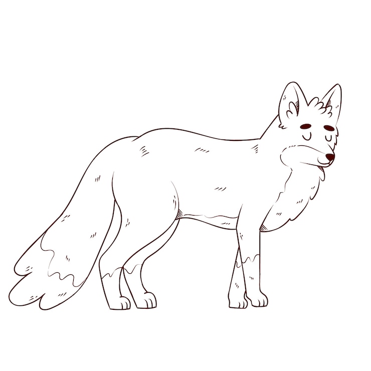 Free Vector hand drawn fox outline illustration