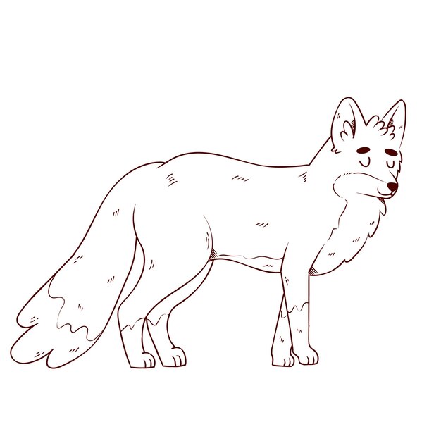 手描きキツネの概要図
