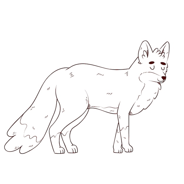 Hand drawn fox outline illustration