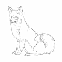 Free vector hand drawn fox outline illustration