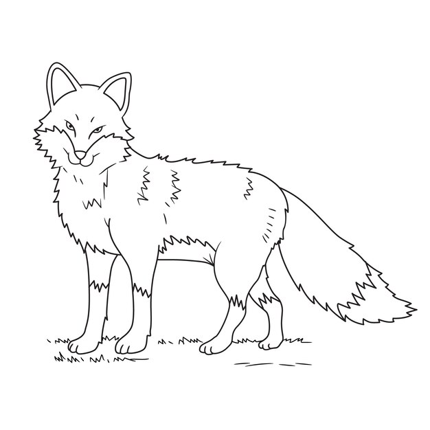 Hand drawn fox outline