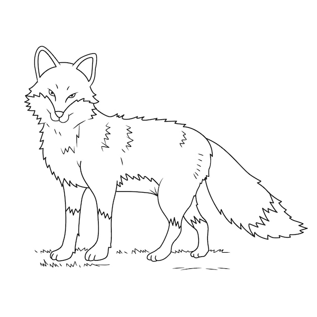 Hand drawn fox outline