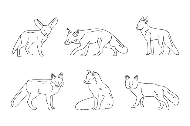 Hand drawn fox outline
