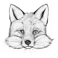 Free vector hand drawn fox