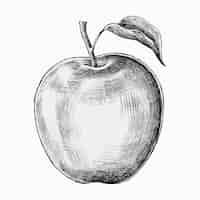 Free vector hand drawn fresh apple vector