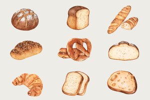 Бесплатное векторное изображение Набор рисованной свежий хлеб