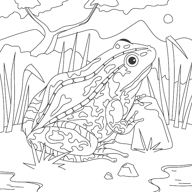Hand drawn frog for coloring