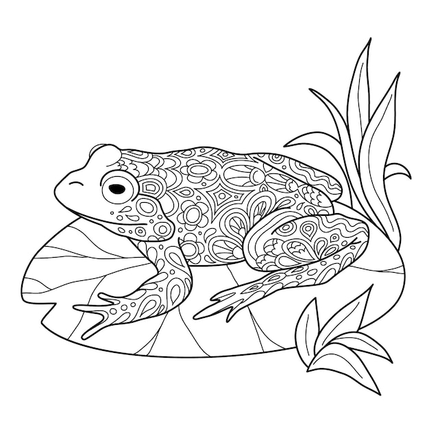 Hand drawn frog for coloring