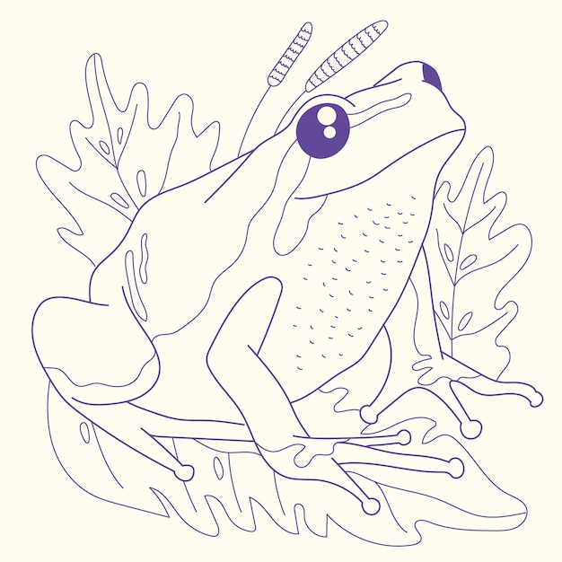 Нарисованная рукой иллюстрация контура лягушки