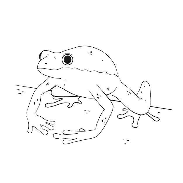 Hand drawn frog outline illustration