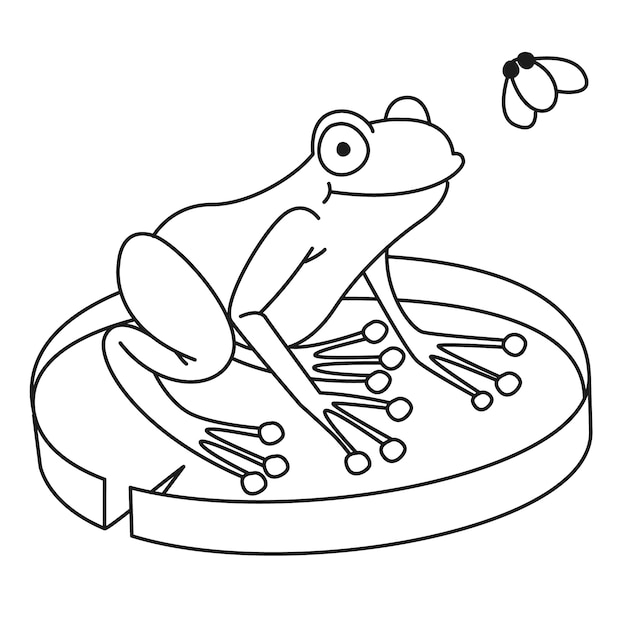 Hand drawn frog outline illustration