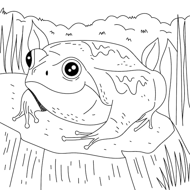 Hand drawn frog outline illustration