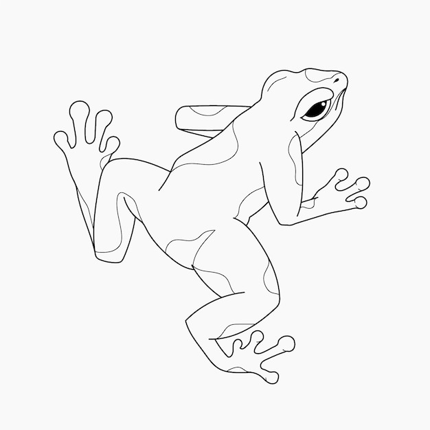 Hand drawn frog outline illustration