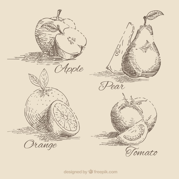 Mano raccolta di frutta disegnato