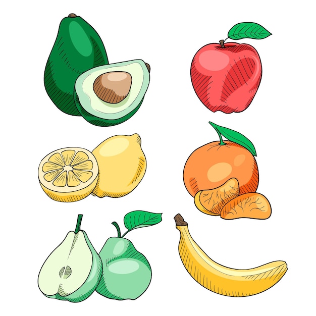 Free vector hand drawn fruit collection