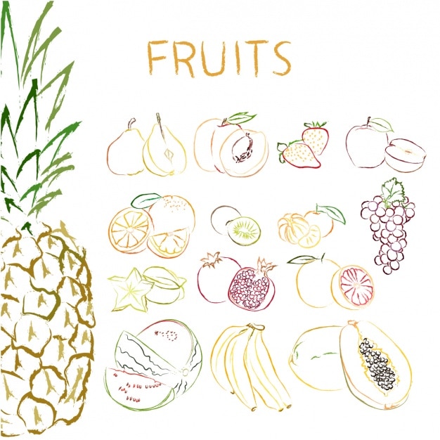 Hand drawn fruits collection