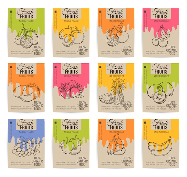 Hand drawn fruits posters set.