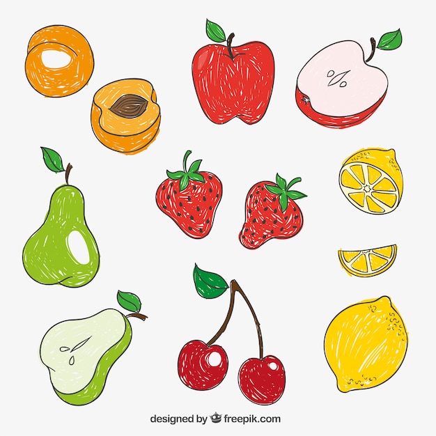 Free vector hand drawn fruits