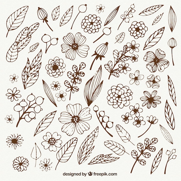 Hand drawn gardening flowers