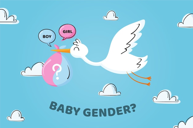 Free vector hand drawn gender reveal concept illustrated