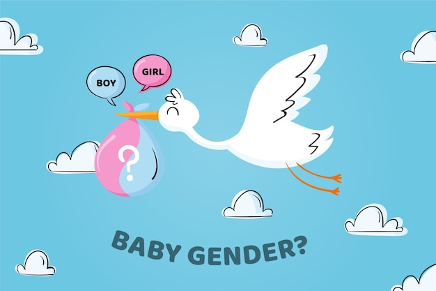 Hand Drawn Gender Reveal Concept Illustrated