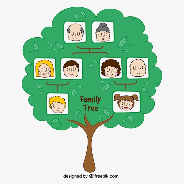 Free vector hand-drawn genealogical tree