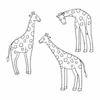 Free vector hand drawn giraffe  drawing illustration