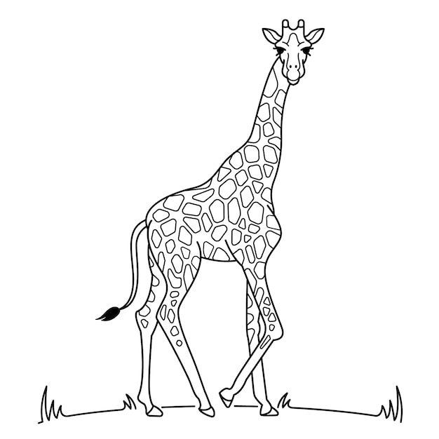 Бесплатное векторное изображение Нарисованная рукой иллюстрация контура жирафа