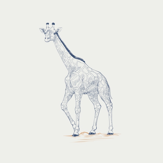 Vettore gratuito illustrazione disegnata a mano del profilo della giraffa