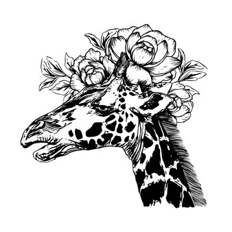 Hand drawn giraffe with flowers vector illustration