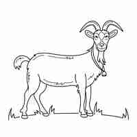 Free vector hand drawn goat outline illustration