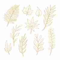 Free vector hand drawn golden leaves collection