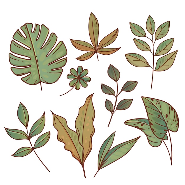 Free vector hand drawn green exotic leaves collection