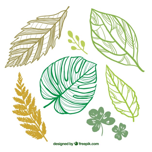 手描き緑の葉