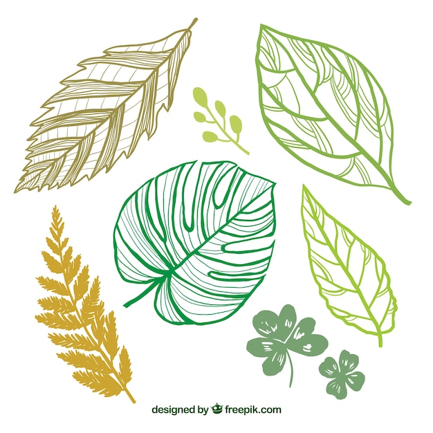 Hand drawn green leaves