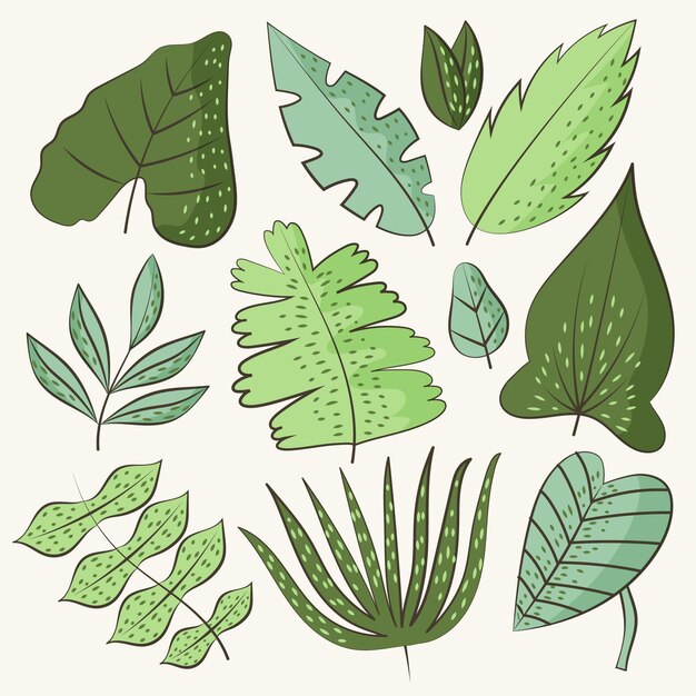 Hand drawn green leaves