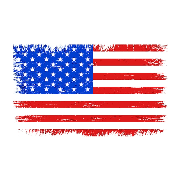 Free Vector hand drawn grunge american flag