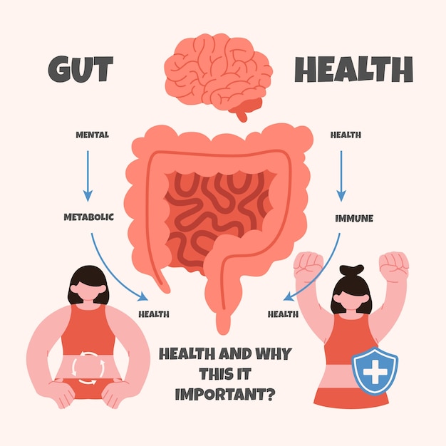 Vettore gratuito infografica sulla salute intestinale disegnata a mano