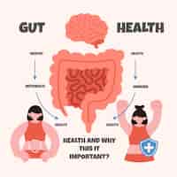 Free vector hand drawn gut health infographic